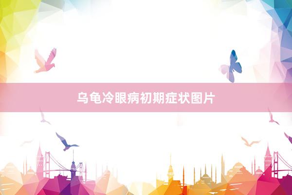 乌龟冷眼病初期症状图片
