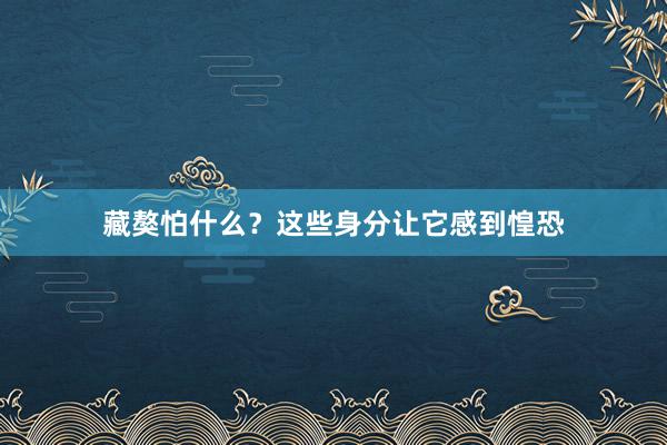 藏獒怕什么？这些身分让它感到惶恐